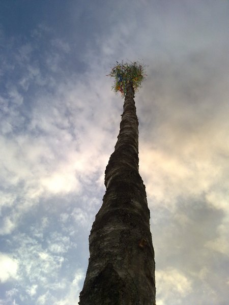 01052010178.jpg