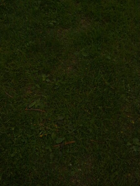 30042010166.jpg