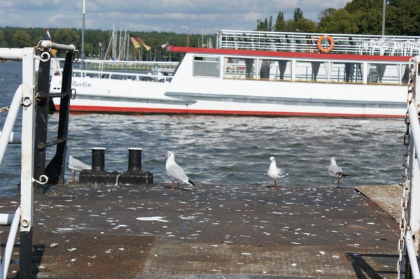 berlin__-__burschenausflug_2009_078.jpg