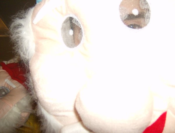hpim6159.jpg