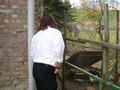 dsc02041.jpg