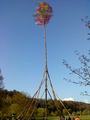 dsc00024.jpg