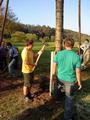 dsc00026.jpg