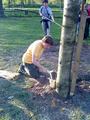 dsc00028.jpg