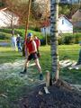 dsc00051.jpg