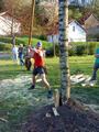 dsc00052.jpg