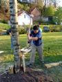 dsc00054.jpg