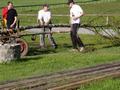 imgp0543.jpg